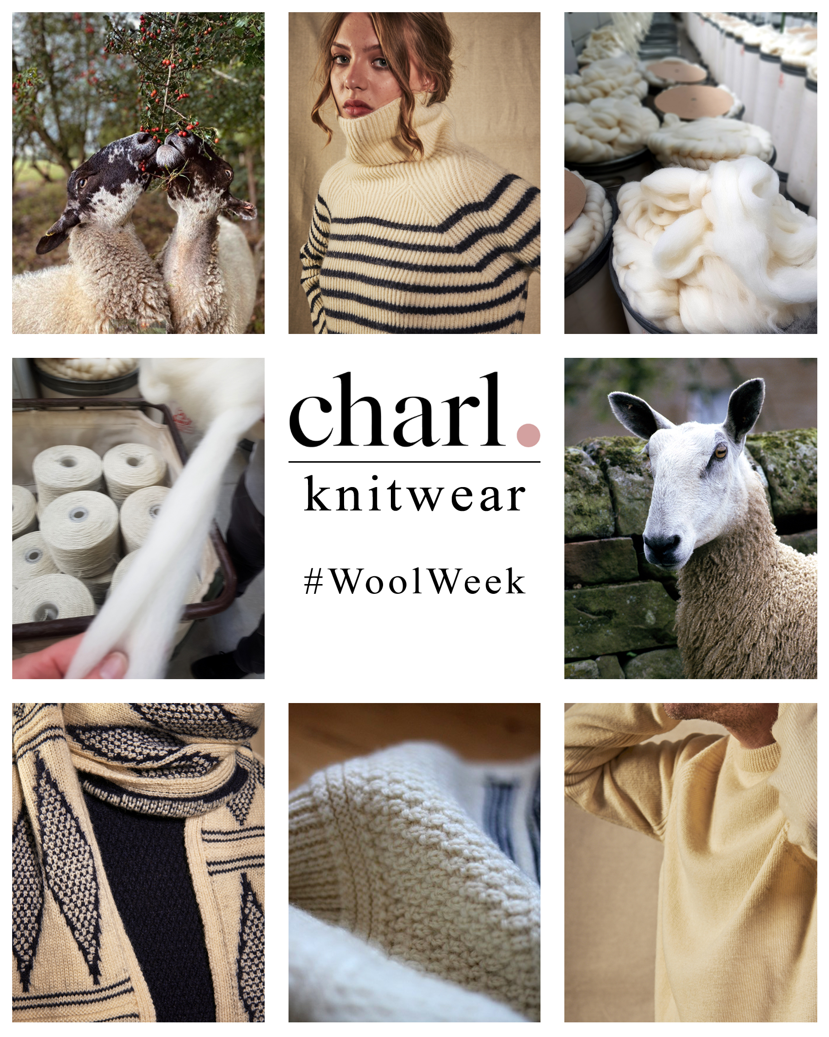 Charl Knitwear wool week
