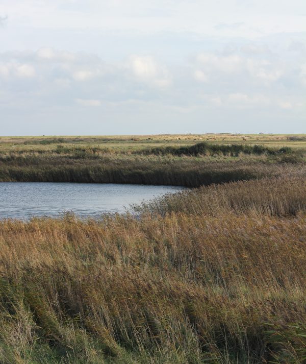 Coastal Walks Garment Refresher - Image 2