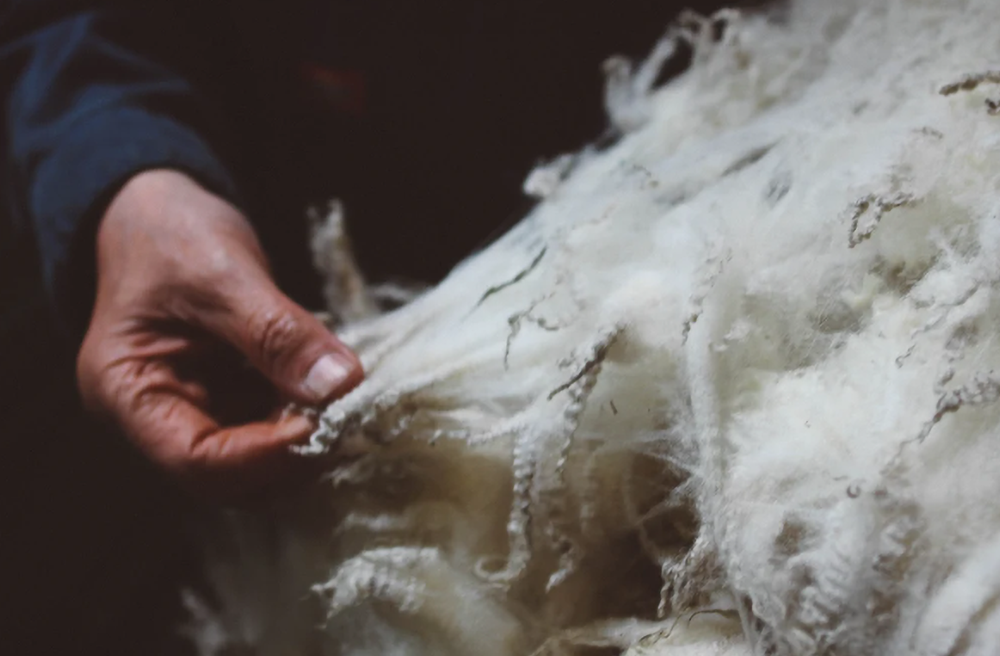 Charlknitwear - Shetland Wool