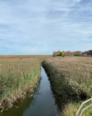 🍂 All the colours of the salt marsh in autumn.

Capturing the mood of the North Norfolk coast, there’s no better place at this time of year 🌊

#charlknits #northnorfolk #norfolkcoast #colourinspiration