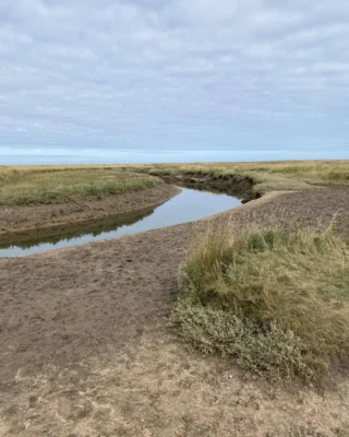 💙💚🤎 Colour inspiration from the Salt Marshes at Wells & Blakeney, North Norfolk.

This landscape never stands still, from the ebbing tides and rippling reeds, to the close cropped heathers, marshmallows and sea lavender.

🦅 This is the right time of year to track the migrating birds on their long journey to Africa. Many of them stop off in the marshes to refuel before heading south again.

🎨 These colours are a constant source of inspiration to me - whatever the weather there is always something to notice, from Hailstone Grey to Stormy Blue, Sage Green and Heather Pink (they are all part of my colour pallette).

🌊 The BETTY cardigan and BIGBY gilet in the Navy/Rye/Sage colourway are rooted in this place; part of the North Norfolk seascape.

#charlknits #everyjumpertellsastory #inspiration #colourpallette #designinspo #britknits #autumnolours #sweaterweather #britishwool #britishbrand #autumnknitwear #sustainablefashion