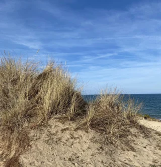 🌊 Sand dunes, shady pines and ocean blues...

May Bank holiday marks a change in pace and mood, whatever the weather!

#summerliving #norfolkcoast #seaside #charlknits #slowliving #bankholiday #longweekend